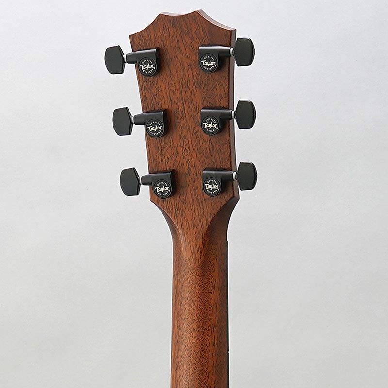 TAYLOR 322ce Mahogany V-Class ｜イケベ楽器店