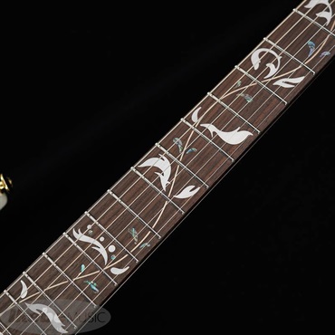 Ibanez PIA3761-SLW [Paradise in Art Steve Vai new signature model] 画像5