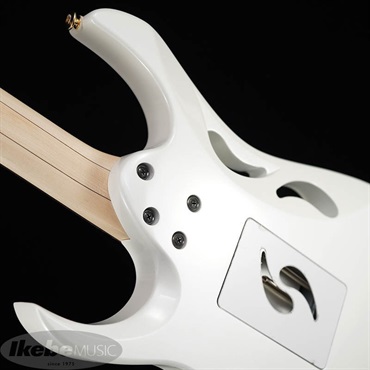 Ibanez PIA3761-SLW [Paradise in Art Steve Vai new signature model] 画像9