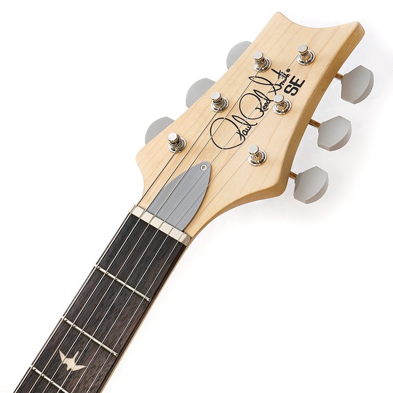 P.R.S. SE Silver Sky Rosewood(Storm Gray) [John Mayer Signature Model] 画像8