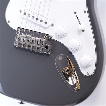 P.R.S. SE Silver Sky Maple(Overland Gray) [John Mayer Signature Model] 画像4