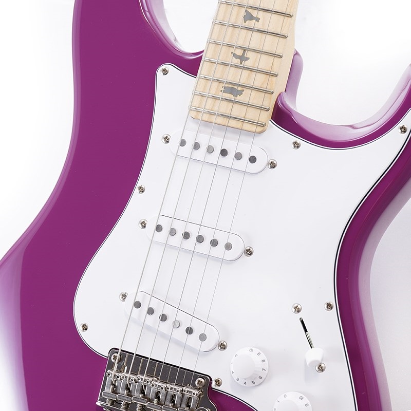 P.R.S. SE Silver Sky Maple(Summit Purple) [John Mayer Signature Model] 画像3