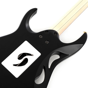 Ibanez PIA3761-XB [Paradise in Art Steve Vai new signature model] 画像5