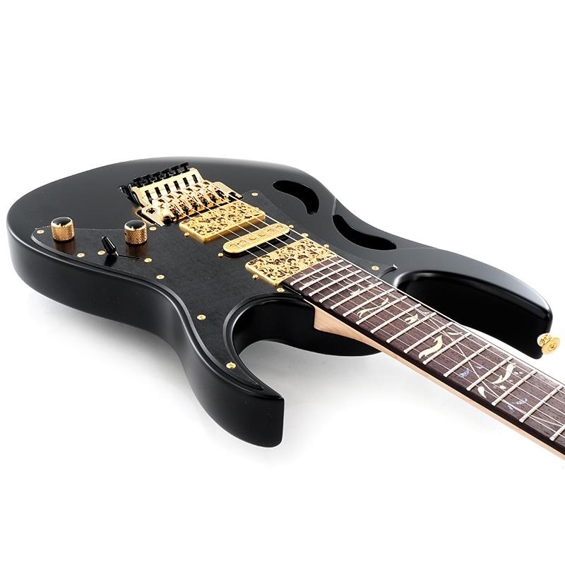 Ibanez PIA3761-XB [Paradise in Art Steve Vai new signature