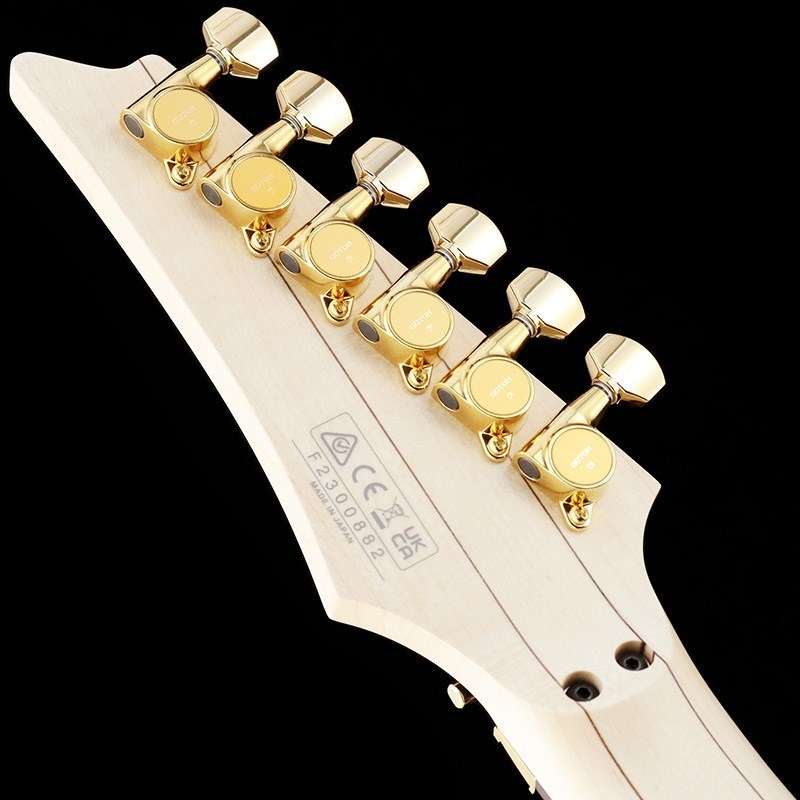 Ibanez アイバニーズ SR5FMDX2 / Natural Low Gloss 【SPOT