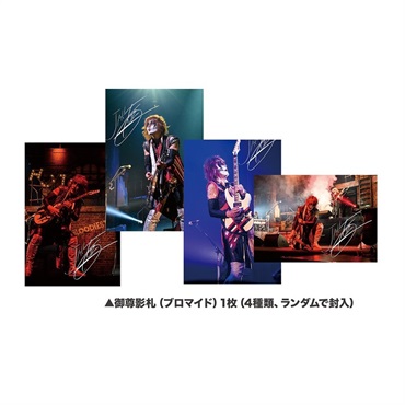 ERNIE BALL ジェイル大橋代官アーニーボール棺 画像1