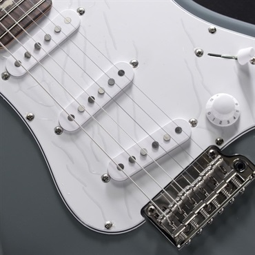 P.R.S. SE Silver Sky (Storm Gray) [John Mayer Model] 画像3