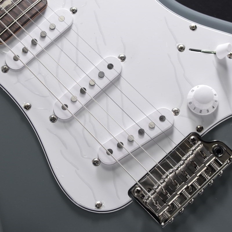 P.R.S. SE Silver Sky (Storm Gray) [John Mayer Model] 画像3