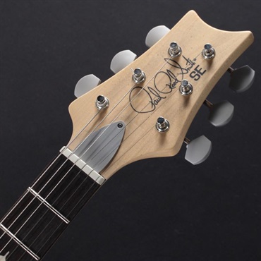P.R.S. SE Silver Sky (Storm Gray) [John Mayer Model] 画像4
