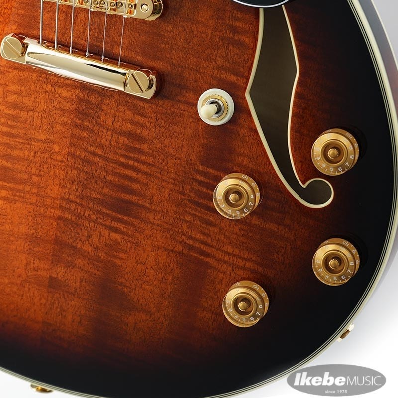 Ibanez JSM100-VT [John Scofield Signature Model] 画像4