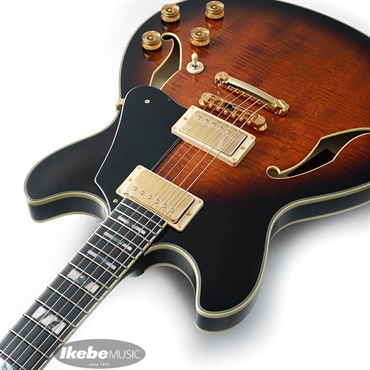 Ibanez JSM100-VT [John Scofield Signature Model] 画像5