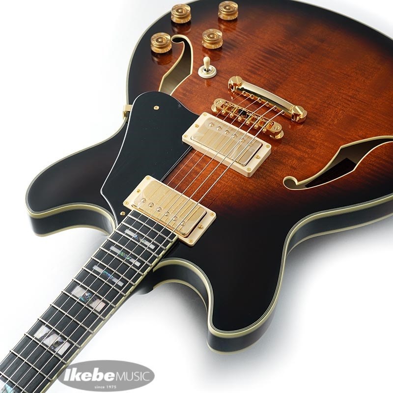 Ibanez JSM100-VT [John Scofield Signature Model] 画像5