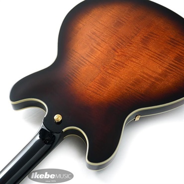 Ibanez JSM100-VT [John Scofield Signature Model] 画像6