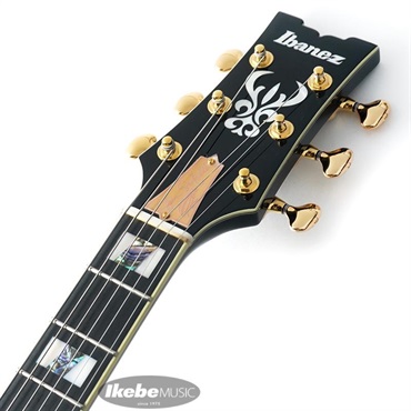 Ibanez JSM100-VT [John Scofield Signature Model] 画像8