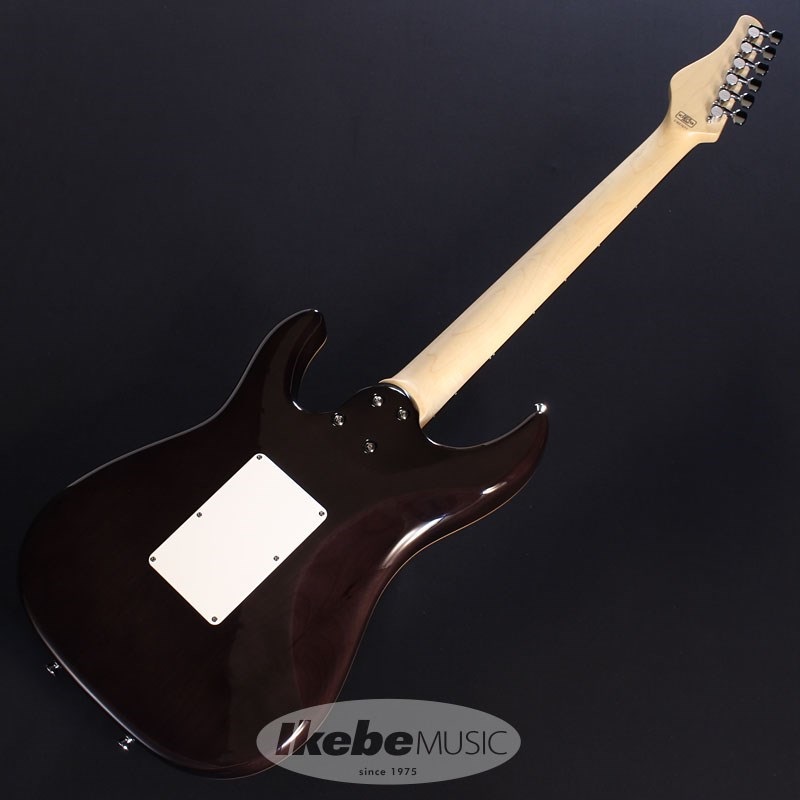 SCHECTER SD-2-24-AL (See-Thru Black/Rosewood) ｜イケベ楽器店