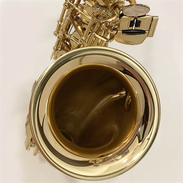 Selmer Paris USED 中古 セルマー アルトサックス SA-80II Jubilee GL S/N:789xx0 【調整&セットアップ後出荷】【5年間キーバランス調整無料】 画像6