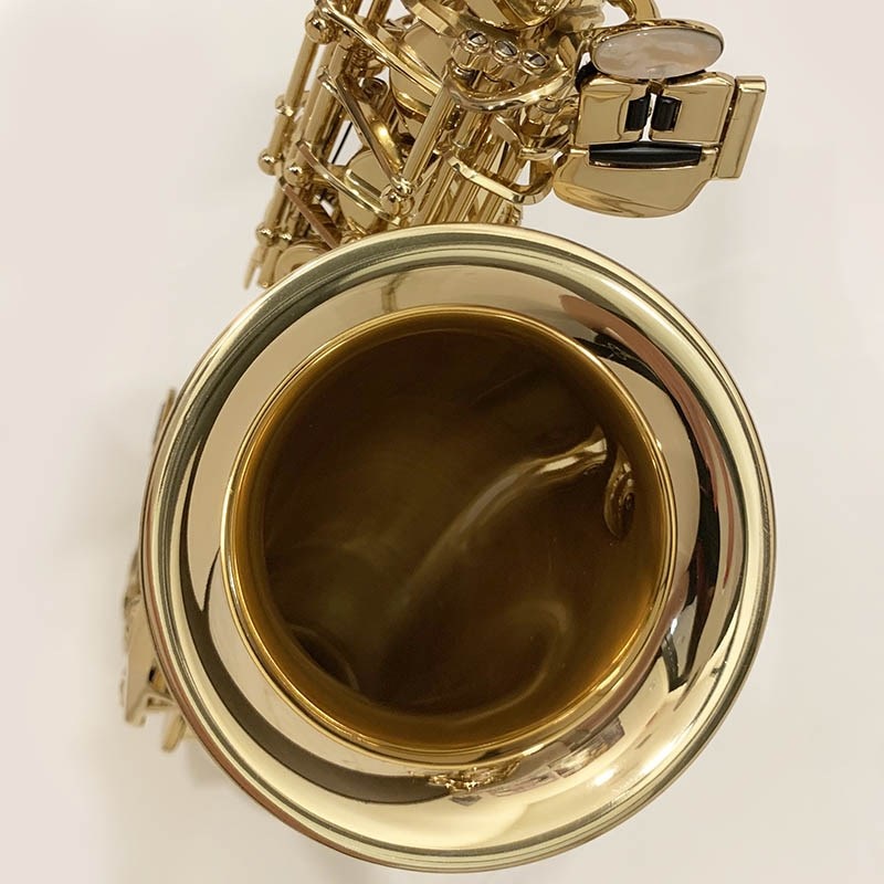 Selmer Paris USED 中古 セルマー アルトサックス SA-80II Jubilee GL S/N:789xx0 【調整&セットアップ後出荷】【5年間キーバランス調整無料】 画像6