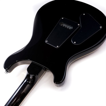 P.R.S. SE Custom 22 Semi-Hollow Quilt (Black Gold Sunburst)【限定生産モデル】 画像6