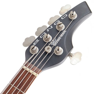 musicman BONGO5 ミュージックマン 限定レアカラー 美品