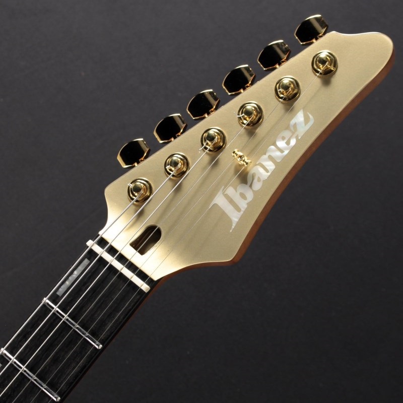 Ibanez KRYS10 [Scott LePage Signature Model] 画像4