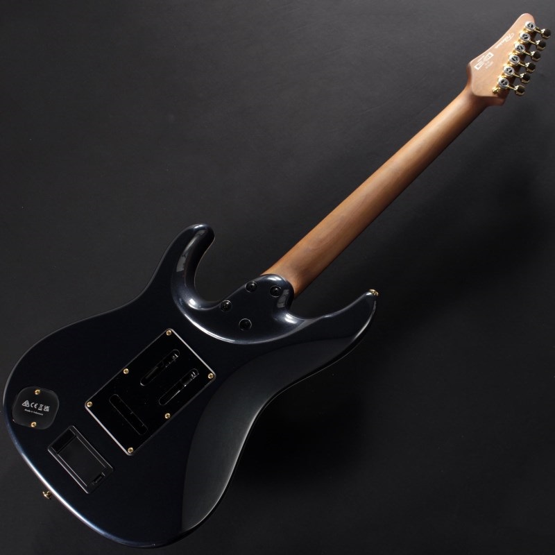 Ibanez KRYS10 [Scott LePage Signature Model] 画像5