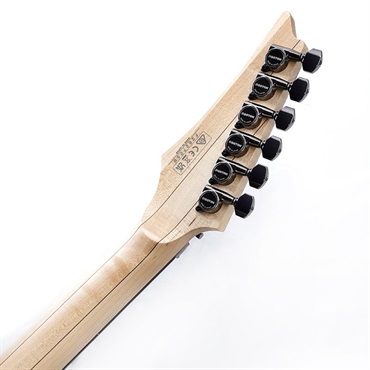 Ibanez KIKO100-TRR [KIKO LOUREIRO signature model] SN.F2627259 画像9