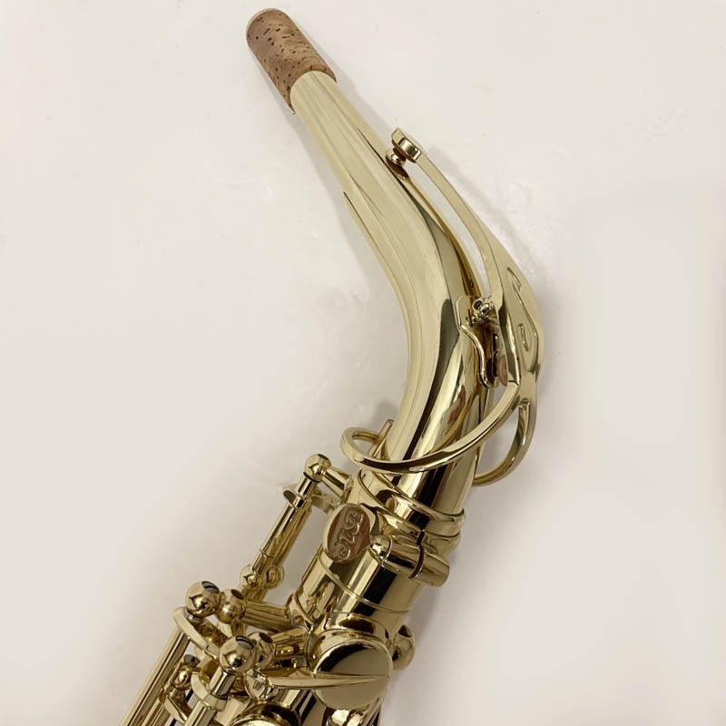 Selmer Paris USED 中古 セルマー アルトサックス AXOS S/N:A07xx2 【調整&セットアップ後出荷】【5年間キーバランス調整無料】 画像1