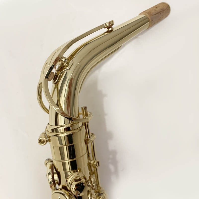 Selmer Paris USED 中古 セルマー アルトサックス AXOS S/N:A07xx2 【調整&セットアップ後出荷】【5年間キーバランス調整無料】 画像2