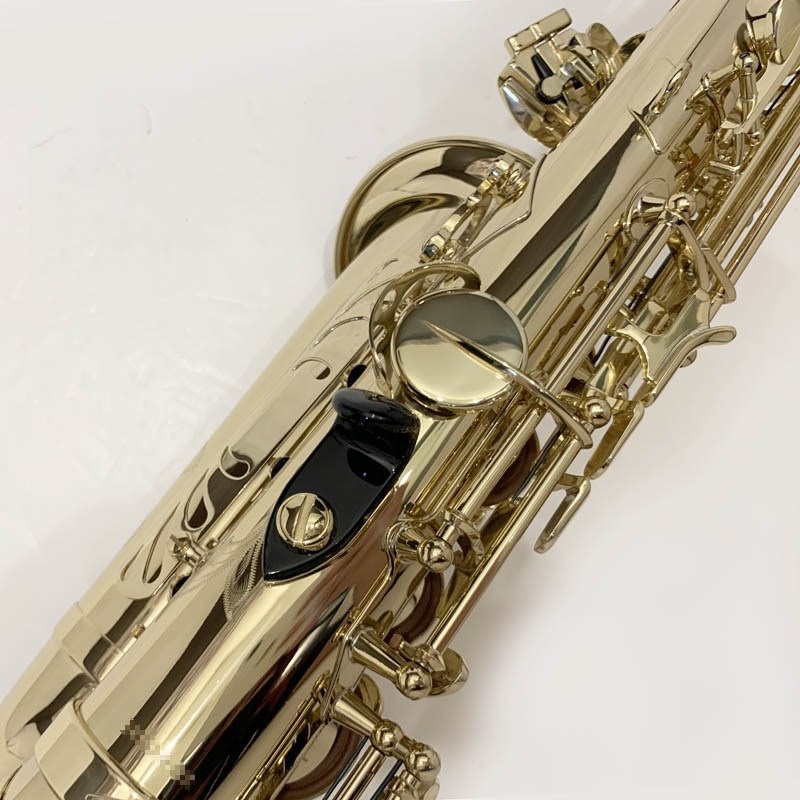Selmer Paris USED 中古 セルマー アルトサックス AXOS S/N:A07xx2 【調整&セットアップ後出荷】【5年間キーバランス調整無料】 画像8