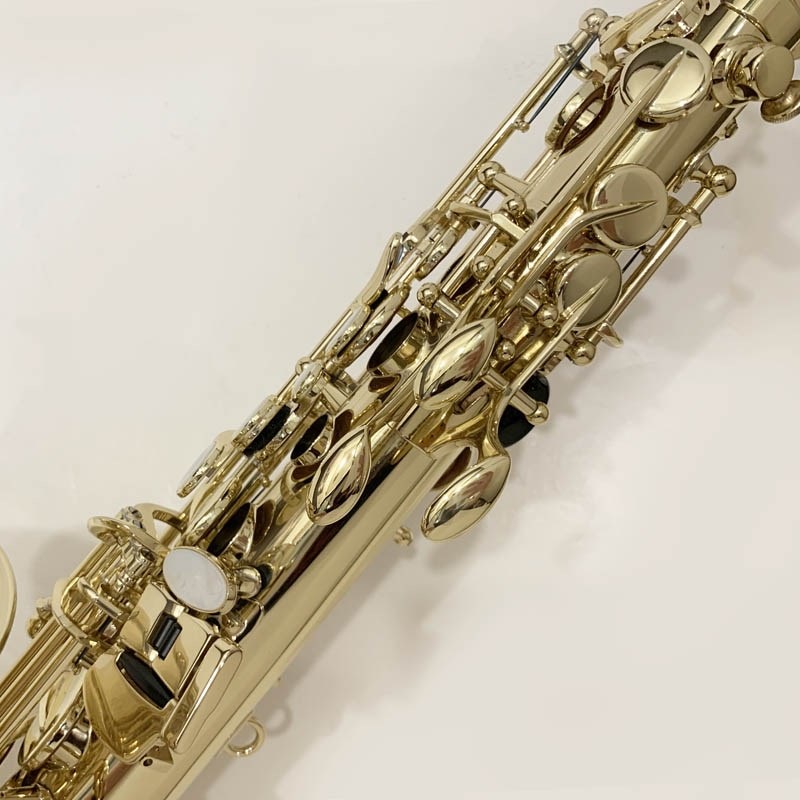 Selmer Paris USED 中古 セルマー アルトサックス AXOS S/N:A07xx2 【調整&セットアップ後出荷】【5年間キーバランス調整無料】 画像10