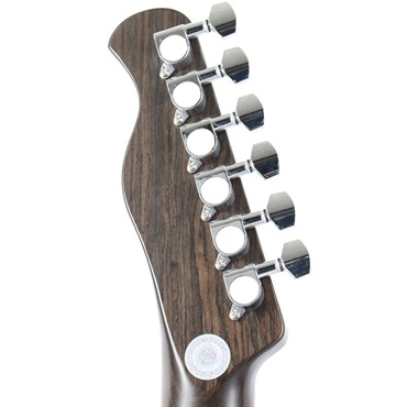 Bacchus Bte-Tw Electric Guitar