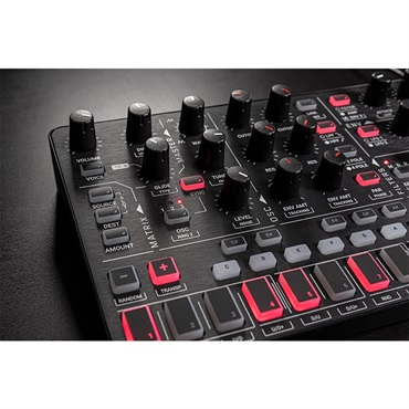 Amazon.com: IK Multimedia UNO Synth Pro X, Dual-Filter