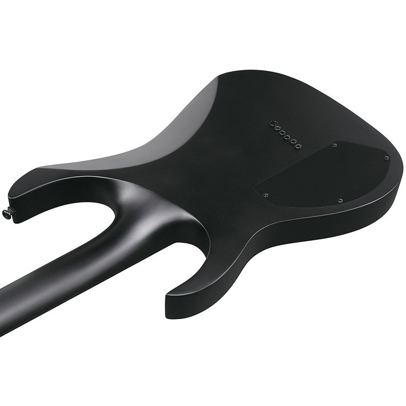 Ibanez Iron Label RGRTBB21-BKF [SPOT MODEL] ｜イケベ楽器店