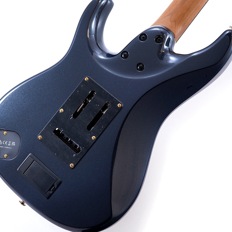 Ibanez KRYS10 [Scott LePage Signature Model] ｜イケベ楽器店
