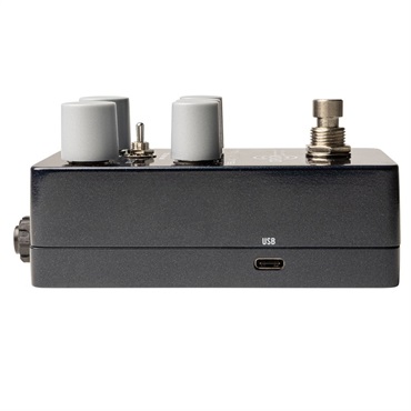 Universal Audio UAFX Orion Tape Echo 画像3