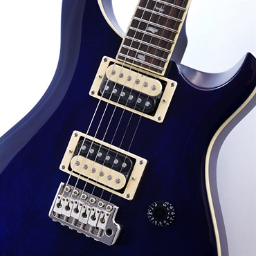 P.R.S. SE Standard 24 (Translucent Blue) 画像3