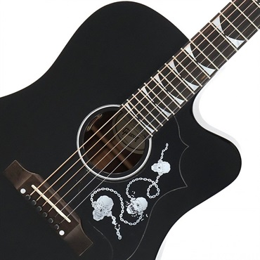 Gibson 【特価】【新楽器応援セール】 Dave Mustaine Songwriter ギブソン 画像3