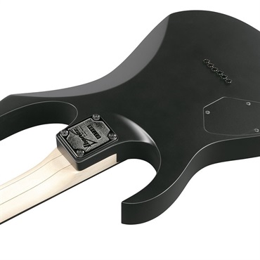 Ibanez RGAIX6FM【USED】（中古/送料無料）【楽器検索デジマート】