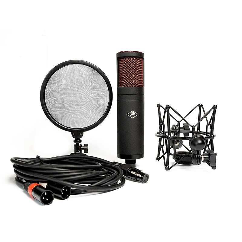 Antelope Audio Edge Duo【お取り寄せ商品】-