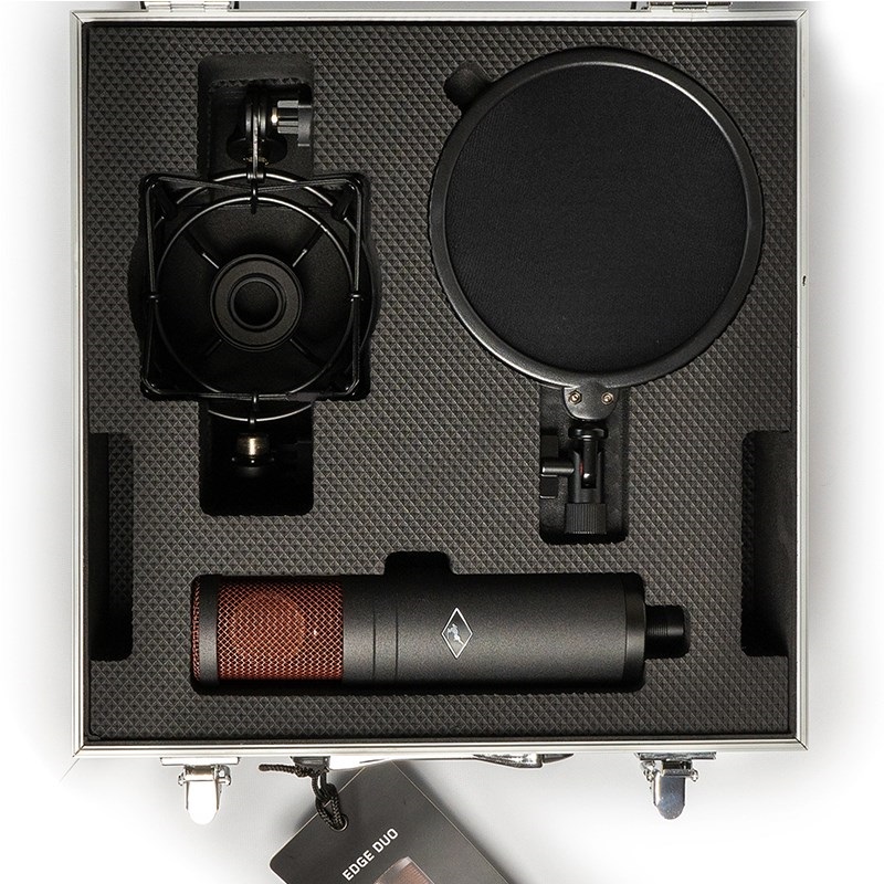 Antelope Audio Edge Duo【お取り寄せ商品】-