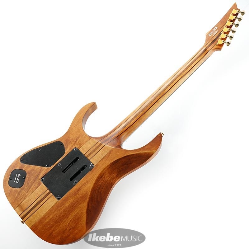 Ibanez Premium RGT1220PB-ABS ｜イケベ楽器店オンラインストア