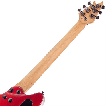EVH Wolfgang WG Standard Exotic Poplar Burl (Natural/Baked Maple