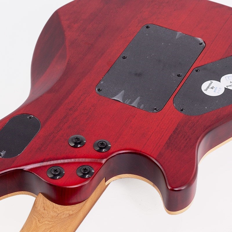 EVH Wolfgang WG Standard Exotic Poplar Burl (Natural/Baked Maple