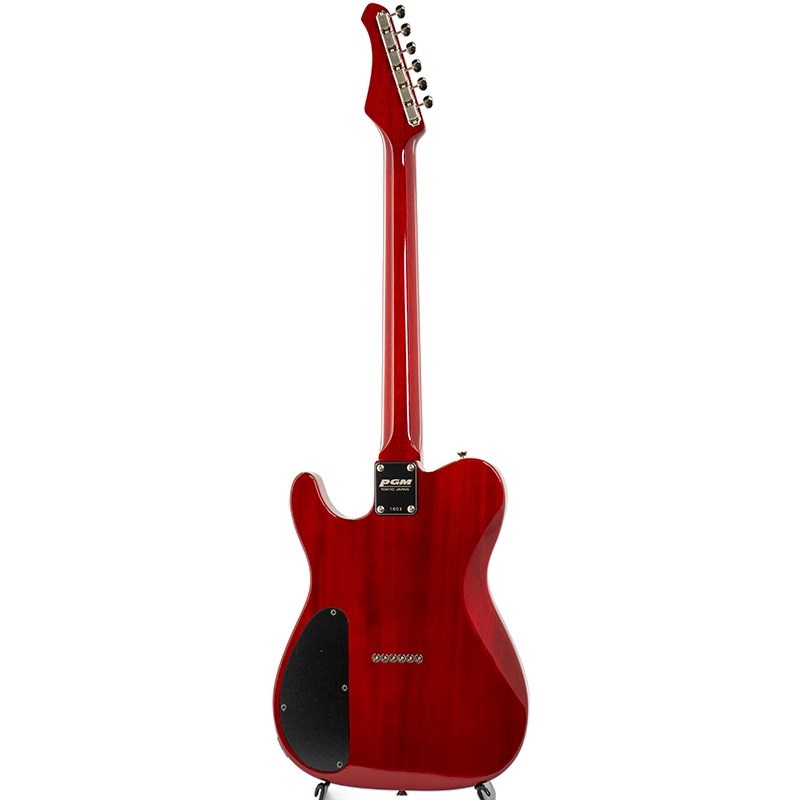 PGM TE-KK4 【特価】 【Weight≒3.23kg】 画像2