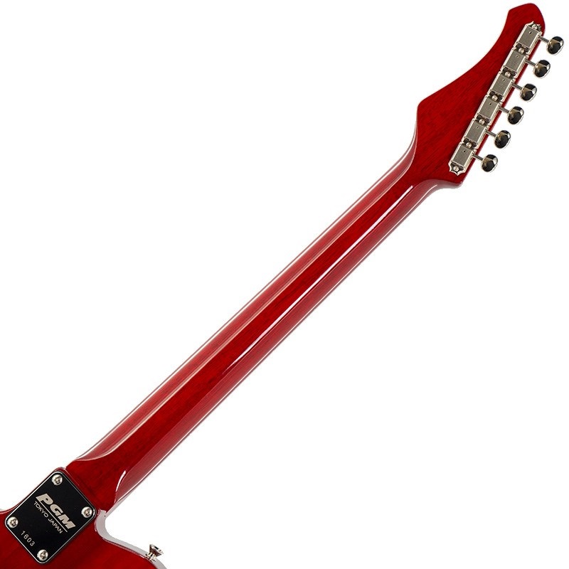 PGM TE-KK4 【特価】 【Weight≒3.23kg】 画像5