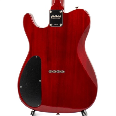 PGM TE-KK4 【特価】 【Weight≒3.23kg】 画像6