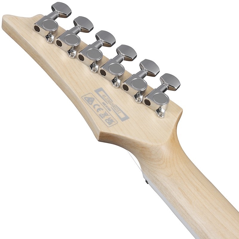 Ibanez SA360NQM-RCG [SPOT MODEL] 画像5