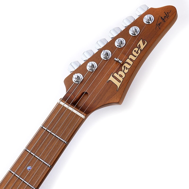 Ibanez TQM1-NT AZシリーズ Ibanez TQM1-NT [Tom Quayle AZ Signature Model] ｜イケベ楽器