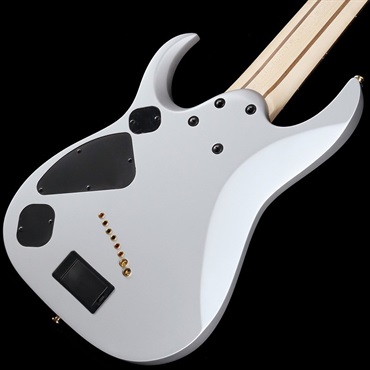 Ibanez Axe Design Lab RGDMS8-CSM ｜イケベ楽器店オンラインストア