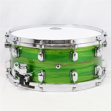 杉 石化 綴化 5号陶器鉢つき 激レア❗ 杉 石化 綴化 5号陶器鉢つき 激